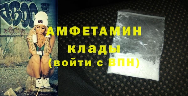 индика Бронницы