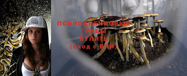 mdpv Бугульма