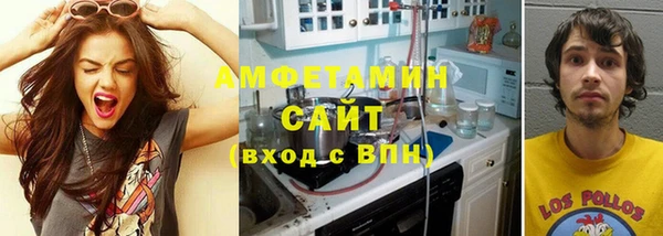 индика Бронницы