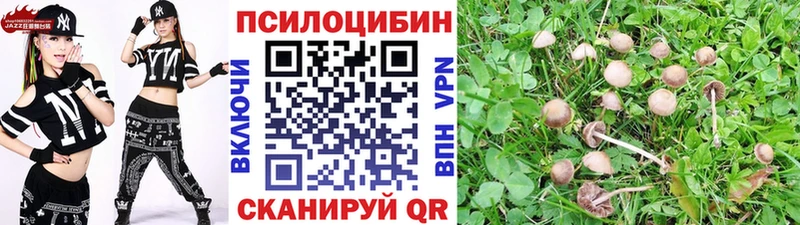 сколько стоит  Кисловодск  Псилоцибиновые грибы MAGIC MUSHROOMS 