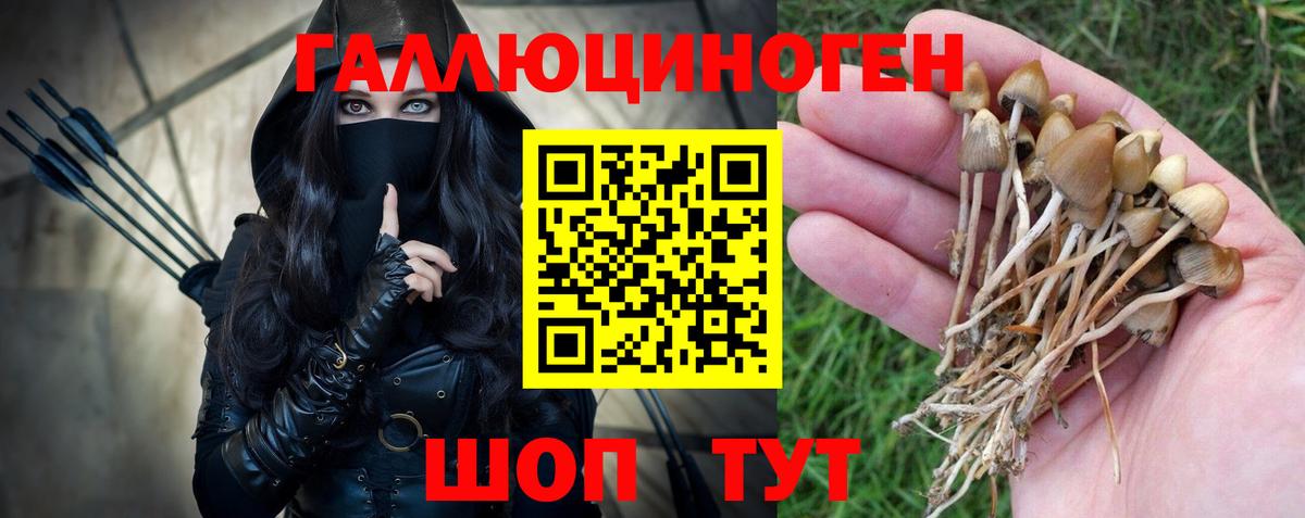 Галлюциногенные грибы Magic Shrooms Кисловодск